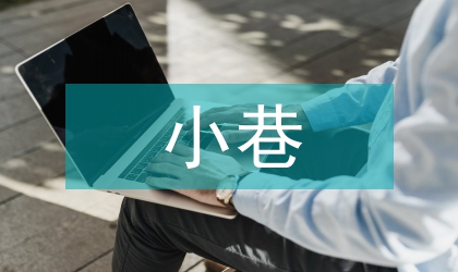 中小城市背街小巷整治对策