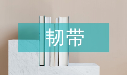 重建膝关节前交叉韧带的临床研究