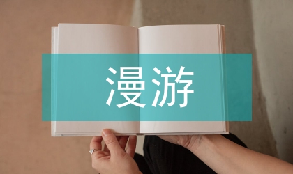 移动通信漫游问题计费优化方案