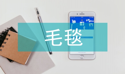 浅论毛毯出口状况与前景发展