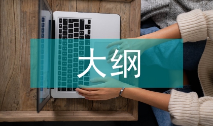 我国音美大纲探究