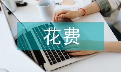 中学生网络游戏花费概况