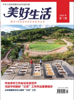 美好生活杂志